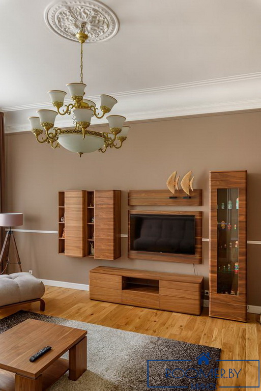 Квартира на сутки в Минске возле метро Немига гостиная