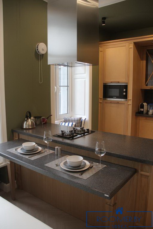 Однокомнатная квартира по адресу Ленина, 2 кухня