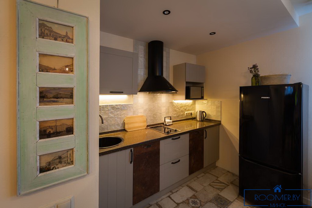 Квартира на сутки в Минске возле метро Немига кухня