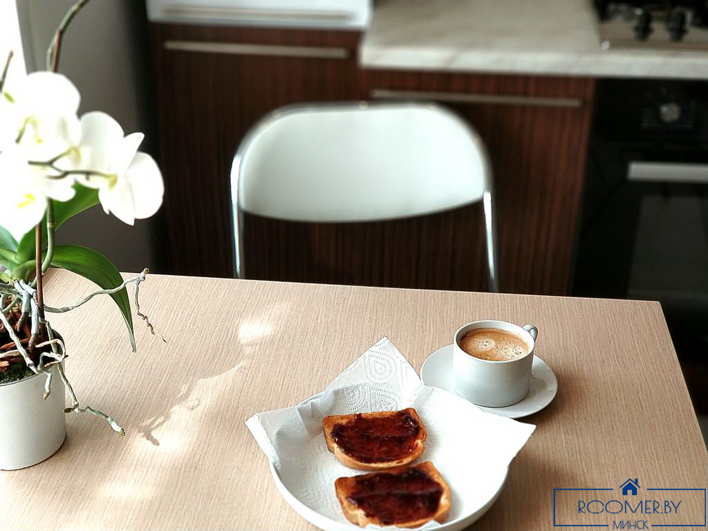 Двухкомнатная квартира на сутки в Минске на Ольшевского кухня