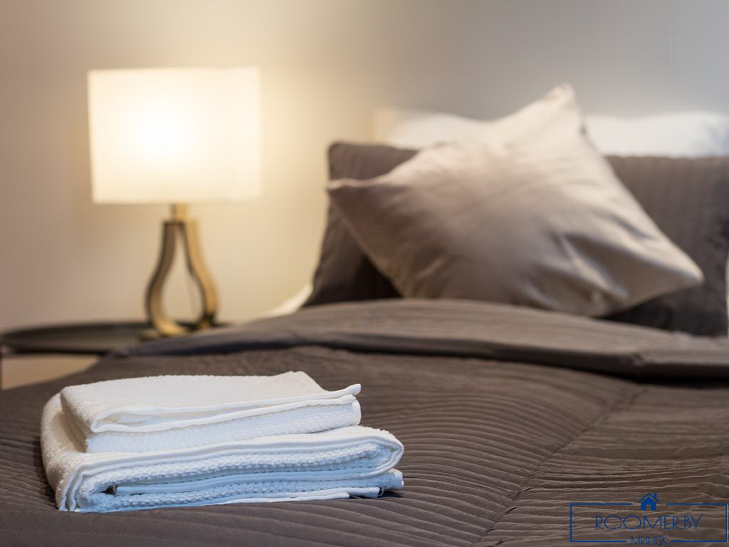 Двухкомнатная квартира на сутки в Минске на Притыцкого спальня