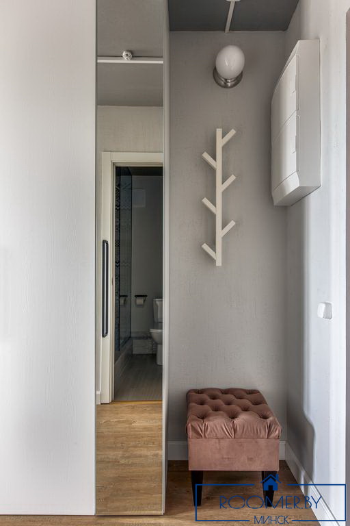 Однокомнатная квартира на сутки в Минске на Притыцкого коридор