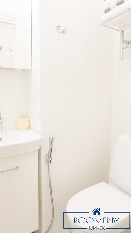 Однокомнатная квартира на сутки в Минске на Притыцкого ванна