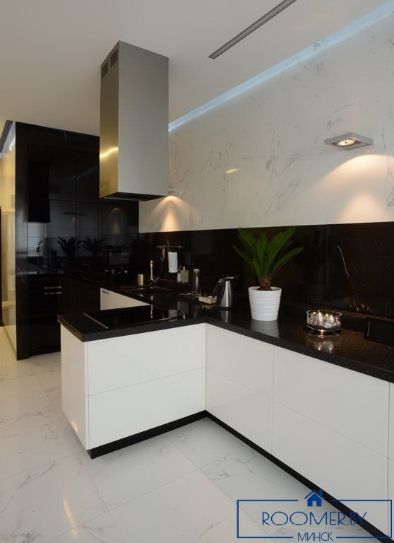 Однокомнатная квартира на сутки в Минске на Притыцкого кухня