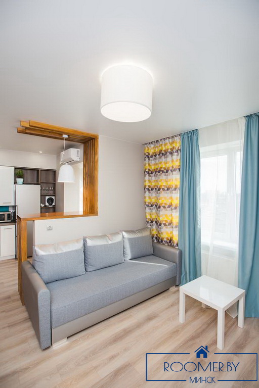 Однокомнатная квартира по проспекту Дзержинского, 11 гостиная