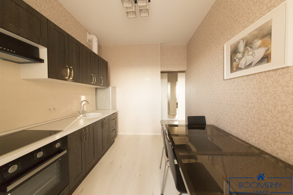 Однокомнатная квартира в Минске на сутки Захарова кухня