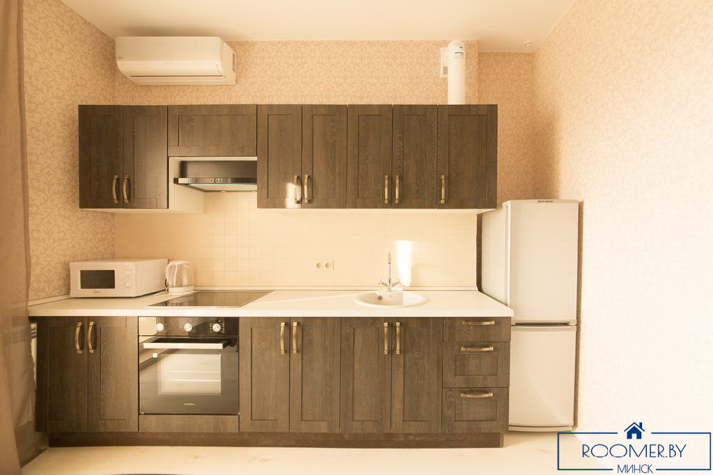 Однокомнатная квартира в Минске на сутки Захарова кухня