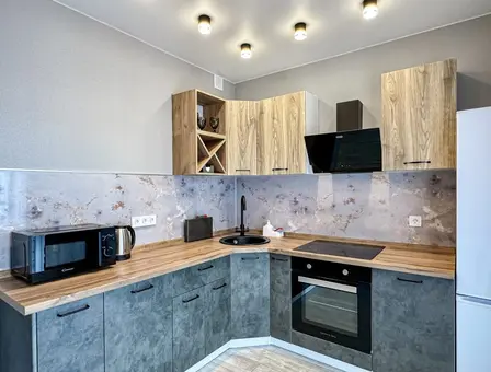 Apartment for daily rent, Minsk, Kalvariyskaya str. 16 — interior photo