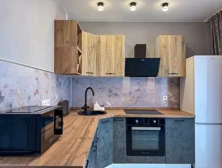 View of apartment for daily rent, Minsk, Kalvariyskaya str. 16 — photo 3