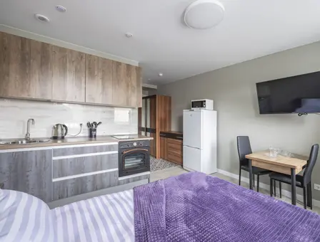 Однокомнатная квартира for daily rent in Minsk, Pritytskogo str. 39