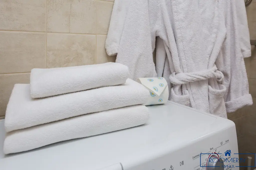 Apartment for daily rent, Minsk, Independence Avenue 72А — interior photo