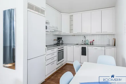 Однокомнатная квартира на сутки в Минске на Притыцкого кухня