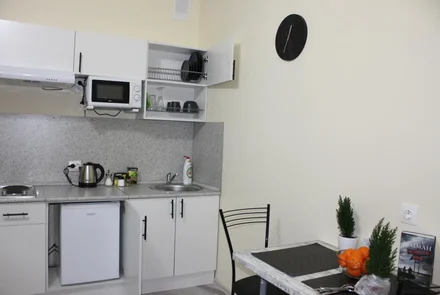 Студия на сутки в Минске на проспекте Дзержинского кухня
