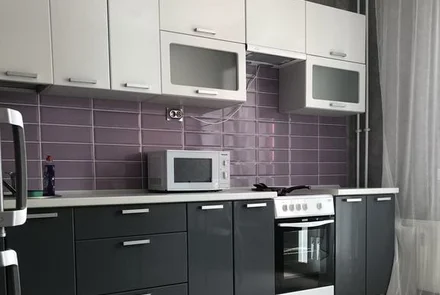 Однокомнатная квартира на сутки Дзержинского кухня