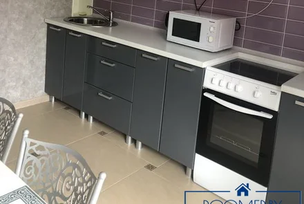 Однокомнатная квартира на сутки Дзержинского кухня