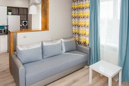 Однокомнатная квартира по проспекту Дзержинского, 11 гостиная