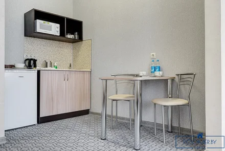Однокомнатная квартира на сутки Минск Козлова кухня